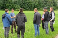 Mehrere Personen stehen auf einer Wiese