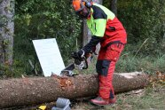 Ein Forstwirt in Schutzkleidung demonstriert ein Schälgeräte zum Anbau an die Motorsäge.