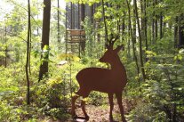 Rehfigur im Wald