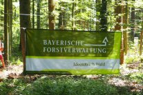 Forstverwaltungs-Banner, aufgespannt zwischen Bäumen im Wald