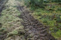 Mann in Forstschutzkleidung vor einem Absperrbanner auf einem Waldweg